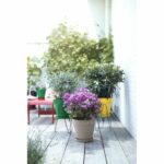 ELHO Round flowerpot Loft Urban 25 - Outdoor - Ø 24.5 x H 22.2 cm - Ocher yellow - Image 3