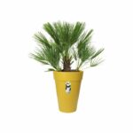 ELHO Loft Urban Round flower pot High 35 - Yellow - Ø 34 x H 45 cm - outdoor - 100% recycled - Image 3