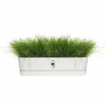 Oval planter Greenville - Plastic - Ø70 - Leaf Green - Image 3