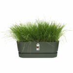 Oval planter Greenville - Plastic - Ø50 - Leaf Green - Image 4