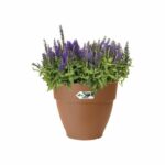 Elho Vibia Campana Round Flower Box 55 - Brown - Ø 55 x H 47 cm - outdoor - 100% recycled - Image 2