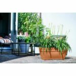 Elho Vibia Campana Terrasse 80 flower box - Brown - L 77 x B 35 x H 33 cm - outdoor - 100% recycled - Image 3