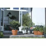 Elho Vibia Campana Terrasse 80 flower box - Brown - L 77 x B 35 x H 33 cm - outdoor - 100% recycled - Image 4