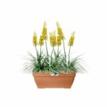 Elho Vibia Campana Terrasse 80 flower box - Brown - L 77 x B 35 x H 33 cm - outdoor - 100% recycled - Image 6