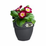 Elho - Flower pot - Vibia Campana Easy Hanger Small - Anthracite - Outdoor balcony - L 24.1 x W 20.5 x H 26.5 cm - Image 3