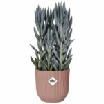Round flower pot vibes - plastic - Ø25 - powder pink - Image 4