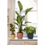 Round flower pot vibes - plastic - Ø25 - powder pink - Image 6