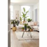 Round flower pot vibes - Plastic - Ø25 - White - Image 6