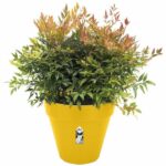 Loft Urban Round Flower Pot - Plastic - Percé - Tank - With casters - Ø50 - Ocher - Image 3