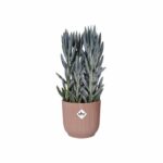 ELHO Vibes Fold Round flower pot Wheels 35 - Pink - Ø 35 x H 32 cm - interior - 100% recycled - Image 2