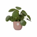 ELHO Vibes Fold Round flower pot Wheels 35 - Pink - Ø 35 x H 32 cm - interior - 100% recycled - Image 3