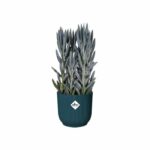 ELHO Vibes Fold Round flower pot Wheels 35 - Blue - Ø 35 x H 32 cm - interior - 100% recycled - Image 2