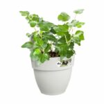 Elho - Flower pot - Vibia Campana Easy Hanger Small - White Silk - Outdoor balcony - L 24.1 x W 20.5 x H 26.5 cm - Image 3