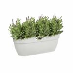 Elho - Flower pot - Vibia Campana Easy Hanger Large - White Silk - Outdoor balcony - L 24.1 x W 46 x H 26.5 cm - Image 3