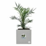 Elho Vivo Next Square 40 Flower box - Gray - Ø 39 x H 38 cm - indoor/outdoor - 100% recycled - Image 2