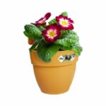 Elho - Flower pot - Vibia Campana Easy Hanger Small - Honey yellow - Outdoor balcony - L 24.1 x W 20.5 x H 26.5 cm - Image 3