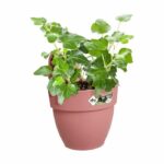 ELHO - Flowerpot - Vibia Campana Easy Hanger Small - Dusty Rose - Outdoor balcony - L 24.1 x W 20.5 x H 26.5 cm - Image 3