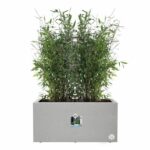 Elho Vivo Next Long 80 Flower box - Gray - L 78 x B 39 x H 38 cm - indoor/outdoor - 100% recycled - Image 3