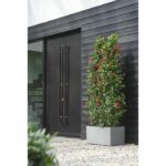 Elho Vivo Next Long 80 Flower box - Gray - L 78 x B 39 x H 38 cm - indoor/outdoor - 100% recycled - Image 4