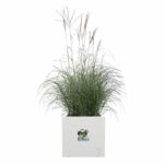 Elho Vivo Next Square 30 Flower box - White - Ø 30 x H 29 cm - indoor/outdoor - 100% recycled - Image 2
