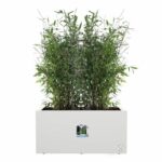 Elho Vivo Next Long 60 Flower box - White - L 59 x B 30 x H 29 cm - indoor/outdoor - 100% recycled - Image 3