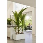Elho Vivo Next Long 60 Flower box - White - L 59 x B 30 x H 29 cm - indoor/outdoor - 100% recycled - Image 4