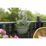 ELHO - Flowerpot - Vibia Campana Easy Hanger Medium - Pistachio Green - Outdoor balcony - L 24.1 x W 36 x H 26.5 cm - Image 2