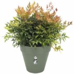 Loft Urban Round Flower Pot - Plastic - Percé - Tank - With casters - Ø40 - Green - Image 3