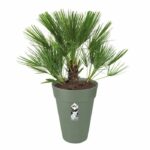 ELHO Loft Urban Round flower pot High 35 - Green - Ø 34 x H 45 cm - outdoor - 100% recycled - Image 2