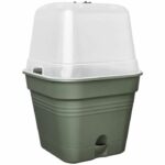 Green basic square flower pot - Plastic - Tank - Ø20 - Leaf Green - Image 2