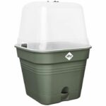 Green basic square flower pot – Plastic – Tank – Ø20 – Leaf Green