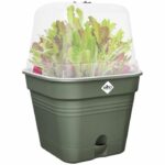 Green basic square flower pot - Plastic - Tank - Ø20 - Leaf Green - Image 3