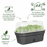 ELHO Green Basics Allin1 L Grow Tray - Black - L 39 x B 23 x H 15 cm - cultivation and harvesting - 100% recycled - Image 2