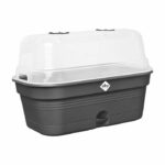 ELHO Green Basics Allin1 L Grow Tray – Black – L 39 x B 23 x H 15 cm – cultivation and harvesting – 100% recycled