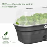 ELHO Green Basics Allin1 L Grow Tray - Black - L 39 x B 23 x H 15 cm - cultivation and harvesting - 100% recycled - Image 5