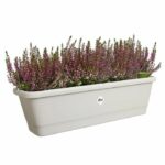 Elho Noa Balconiere L - Gray - L 65 x B 20 x H 18 cm - Outdoor balcony - 100% recycled - Image 3