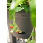 ELHO Green Basics Strawberry Pot 33 - Black - Ø 33 x H 42 cm - outdoor cultivation and harvesting - 100% recycled - Image 3