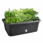 Elho Green Basics Jardin De Cultivation L flower box - Black - L 76 x B 57 x H 27 cm - outdoor cultivation and harvesting - 100% recycled - Image 3