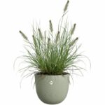 Flower pot - ELHO - Sereh Rond 30 - Green - L 30 x B 29.5 x H 25 cm - 100% recycled - Image 2