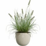 Flower pot - ELHO - Sereh Round 30 - Beige - L 30 x B 29.5 x H 25 cm - 100% recycled - Image 2
