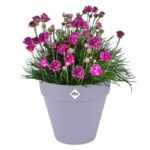 Flower pot - Elho - Loft Urban Round - Purple - L 29 x W 28.5 x H 26 cm - Outdoor - 100% recycled - Image 3
