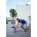 Flower pot - Elho - Loft Urban Round - Purple - L 29 x W 28.5 x H 26 cm - Outdoor - 100% recycled - Image 6