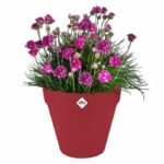 Flower pot - Elho - Loft Urban Round - Red - L 29 x W 28.5 x H 26 cm - Outdoor - 100% recycled - Image 3