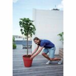 Flower pot - Elho - Loft Urban Round - Wheels 50 - Red - L 49 x W 48.5 x H 45 cm - Outdoor - 100% recycled - Image 5