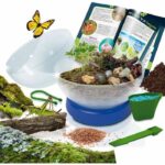 Ecosystem to build - LISCIANI - Observe the interaction between flora and fauna - Image 2