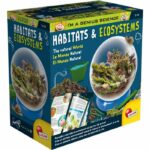 Ecosystem to build - LISCIANI - Observe the interaction between flora and fauna