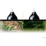 Support De Lampe Glow Light Medium - Exo Terra - Image 5