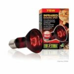 BASKING SPOT lamps infrared 75 W - Image 2