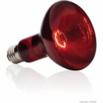 BASKING SPOT lamps infrared 75 W