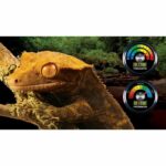 Analogue hygrometer for terrarium - EXO TERRA - Image 2